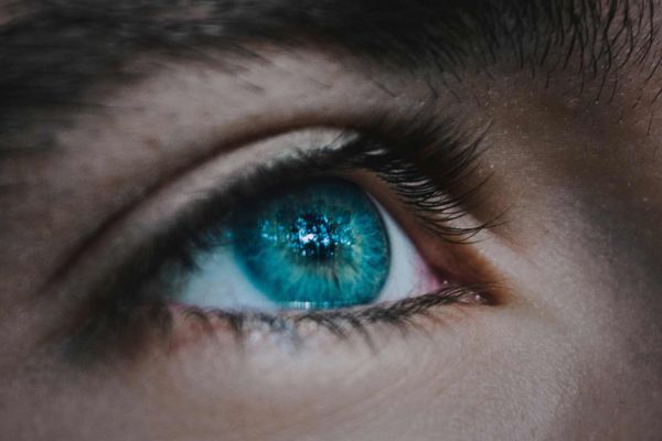 Contact Lenses