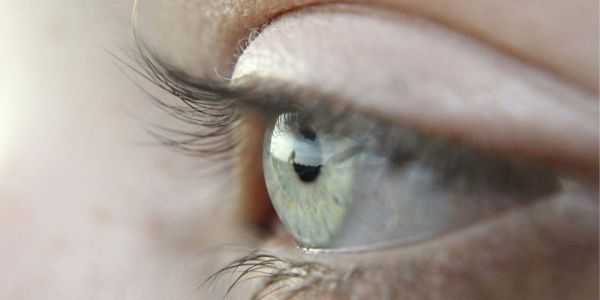 Contact Lenses