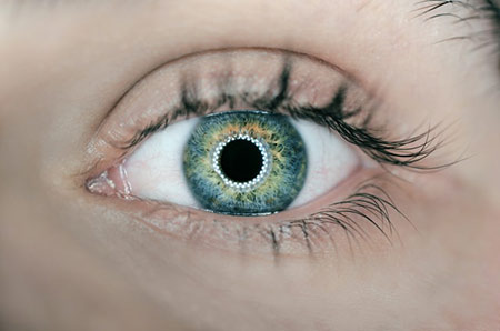 https://www.tucsonoptometryclinic.com/wp-content/uploads/how-long-does-it-take-for-eye-dilation-to-wear-off.jpg