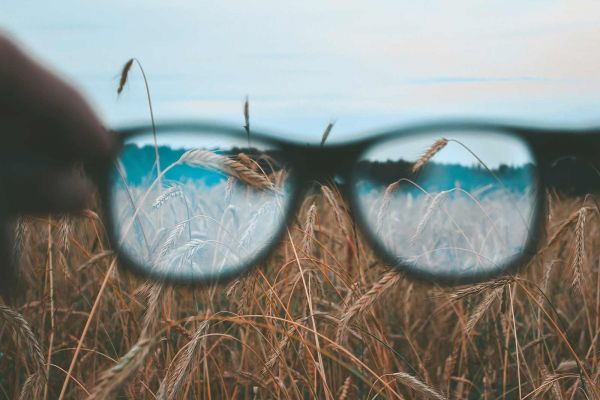 Low Vision
